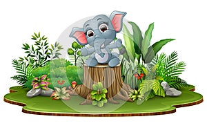 Cartoon happy baby elephant sitting on tree stump with green plants