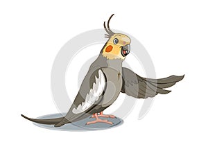 Cartoon happy cockatiel