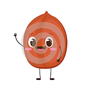 Cartoon happy cute peanut character