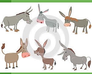 cartoon happy donkeys farm animal characters set