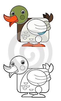Cartoon happy farm animal cheerful duck isolated on white background with sketch illustration