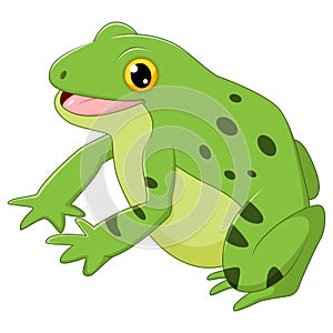 Cartoon happy frog