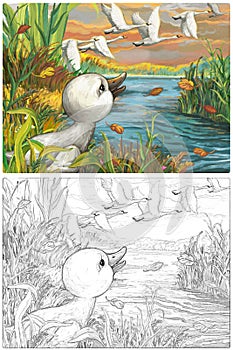 Cartoon happy and funny farm scene with happy bird duck sketchbook illustration photo