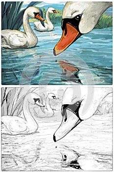 Cartoon happy and funny farm scene with happy bird swan sketchbook illustration