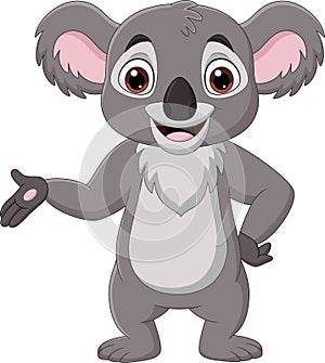 Cartoon happy koala presenting on white background