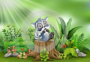 Cartoon happy raccoon on tree stump with green plants