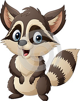 Cartoon happy raccoon on white background