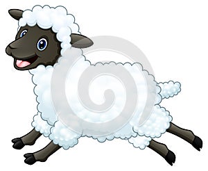 Cartoon happy sheep jumping isolated on white background