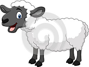 Cartoon happy sheep posing isolated on white background