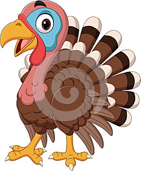 Cartoon happy turkey bird on white background