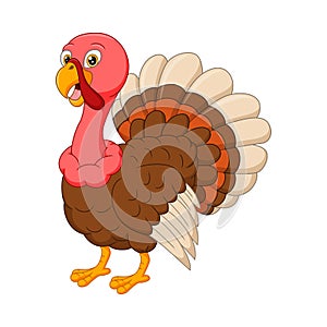 Cartoon happy turkey on white background