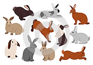 Cartoon hare. Cute bunny in different poses. Fluffy farm rabbits jumping and running. Funny pets sitting or lying