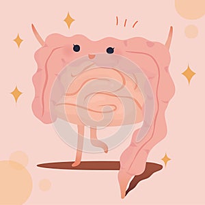 Cartoon  of healthy gut in human digestive system