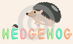 Cartoon hedgehog character of educational nature with the name of the animal. Isolated vector illustration.