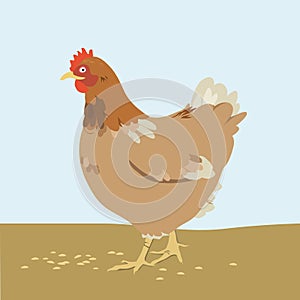 Cartoon hen vector illustration