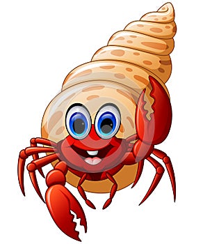 Cartoon hermit crab