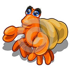 Cartoon hermit crab isolated on white background. Vector close-up cartoon illustration.