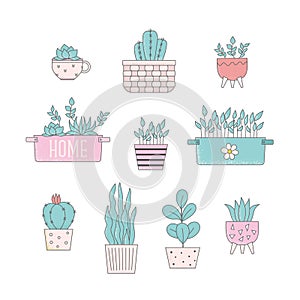 Cartoon home plants in flowerpot vector illustrations. Trendy home decor, cactus, urban jungle, cute houseplants, for