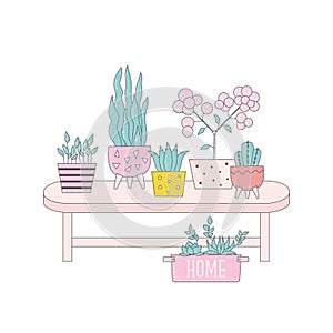 Cartoon home plants in flowerpot vector illustrations. Trendy home decor, table, urban jungle, cute houseplants, for