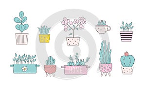 Cartoon home plants in flowerpot vector illustrations. Trendy home decor, urban jungle, cute houseplants, for stickers