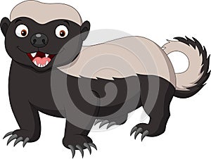 Cartoon honey badger