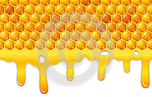 Cartoon honeycomb with honey dripping