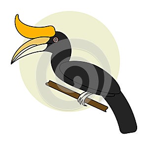 Cartoon Hornbill bird.