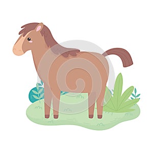 Cartoon horse animal standing grass bush isolated white background design