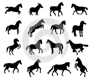 Cartoon Horse collection set isolated Vector Silhouettes