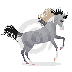 The cartoon horse jump. Isolated vector illustration. Pony illustration for children's book.