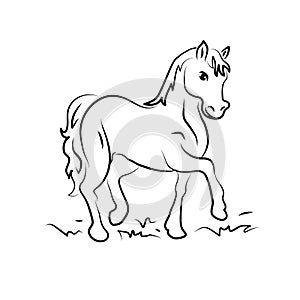 Cartoon horse vector illustration black outline