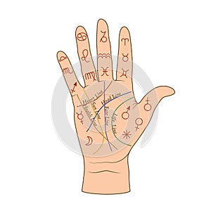 Cartoon human palmistry map on open hand vector graphic illustration