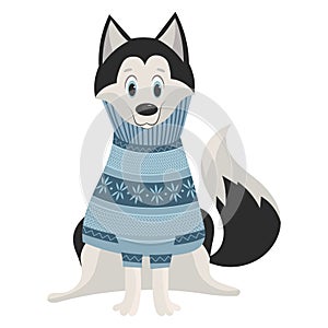 Cartoon Husky. Cute husky in a sweater. Vector illustration for kids. Puppy dog in a sweater.