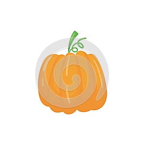 Cartoon icon of big bright orange pumpkin. Ripe herbaceous plant. Organic food. Agronomic product. Flat vector element