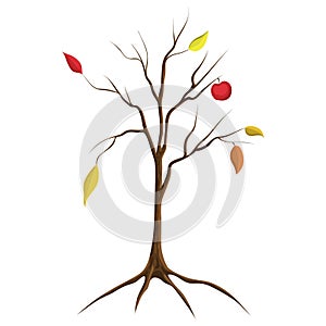 Cartoon illustration of bare apple tree isolated on white background. tree no leaves isolated. flat cartoon style. Autumn fall