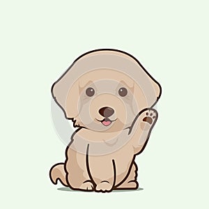 Cartoon illustration of cockapoo dog cute pose. Vector illustration of cockapoo dog