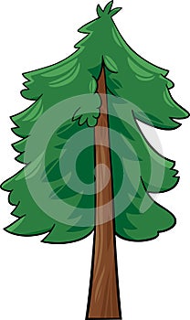 Cartoon illustration of conifer tree photo