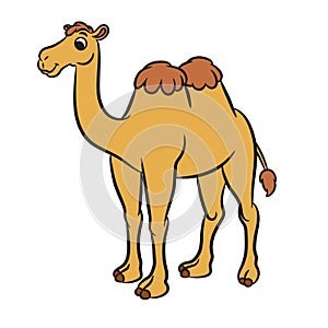 Cartoon illustration of cute camel