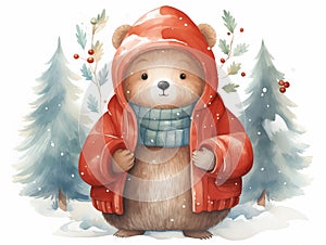 Cartoon illustration of cute winter bear on white