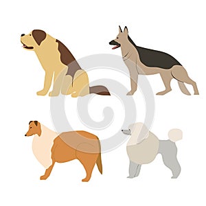 Cartoon illustration dogs breeds.