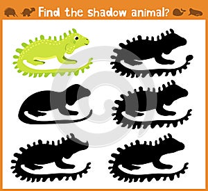 Cartoon illustration of education will find appropriate shadow silhouette animal iguana. Matching game for children of pres