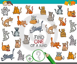 Find one of a kind with cats animal characters