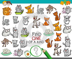 Find one of a kind game with cat characters