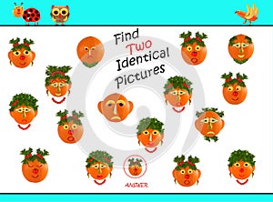 Cartoon  Illustration of Finding the Same Picture.  Educational Game for Preschool Children