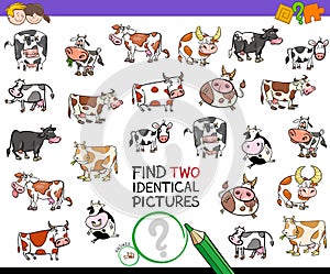 Find two identical cows educational activity photo