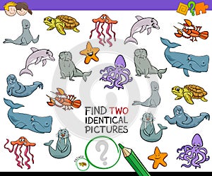 Find two identical sea animals game for kids photo