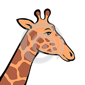 Cartoon illustration giraffe on a white background