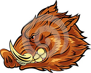 Cartoon illustration of head wild boar mascot