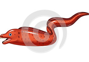 Cartoon illustration of Moral eel