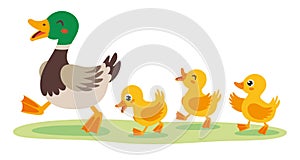Cartoon Illustration Of Mother And Baby Ducks